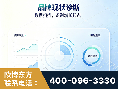 温岭-品牌现状诊断